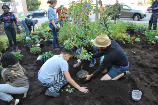 Vergers urbains, vers une ville comestible