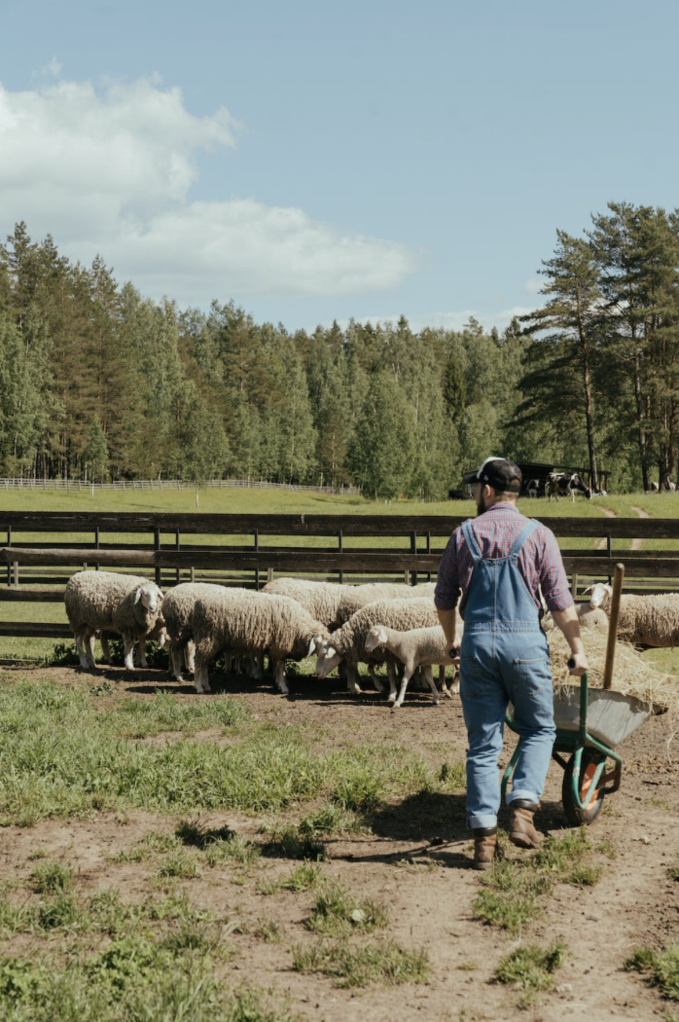 CETTE FERME ACCUEILLE DES ANIMAUX HANDICAPÉS ET ABANDONNÉS CETTE FERME ACCUEILLE DES ANIMAUX HANDICAPÉS ET ABANDONNÉS