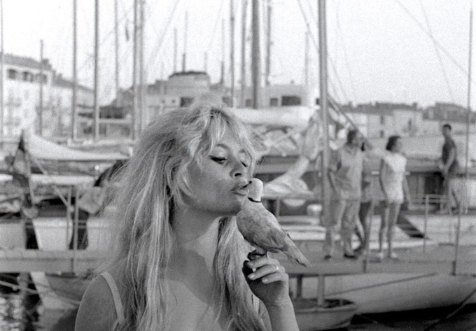 "Un formidable coup de projecteur à la cause animale", l'héritage de Brigitte Bardot