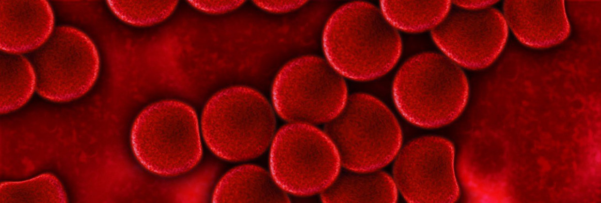 LE SANG DES VÉGÉTALIENS SERAIT HUIT FOIS PLUS PROTECTEUR CONTRE LE CANCER