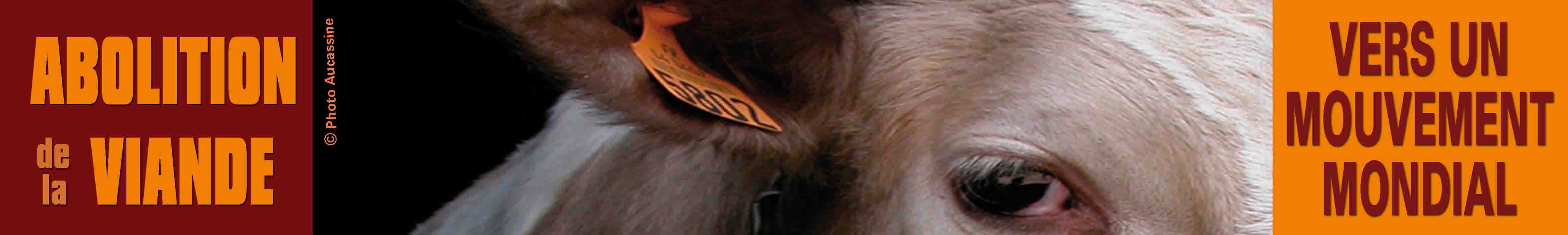 Actions pour l'abolition de la viande