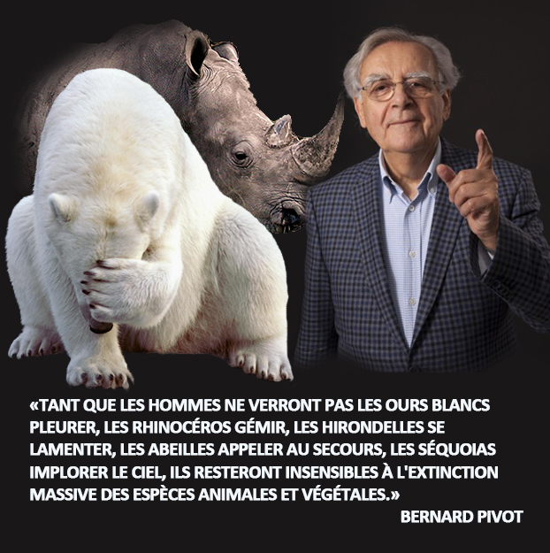 Bernard Pivot toujours le mot juste