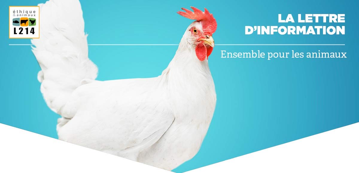 Ensemble, nous changeons les pratiques de l’industrie agroalimentaire !