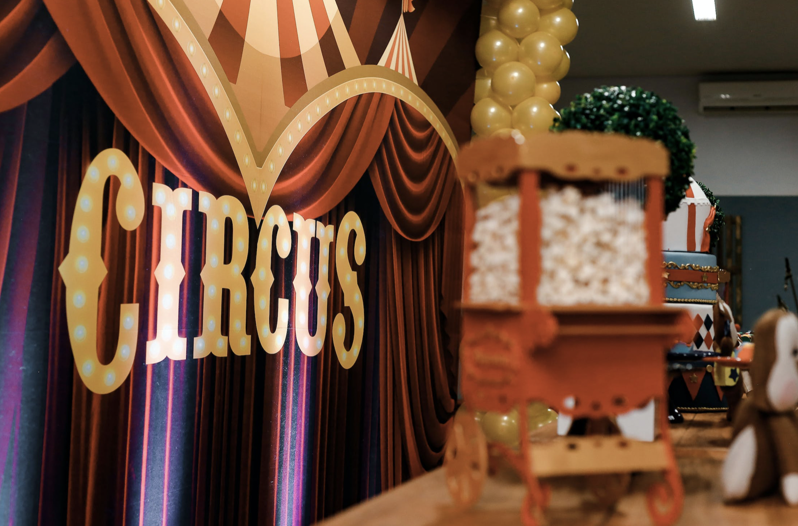 « Au cirque, les animaux subissent une captivité qui les rend fous » :﻿ un collectif sensibilise﻿