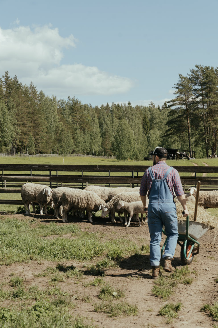 CETTE FERME ACCUEILLE DES ANIMAUX HANDICAPÉS ET ABANDONNÉS