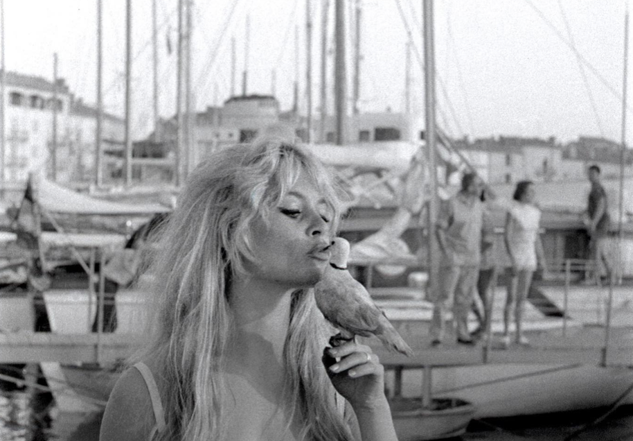 "Un formidable coup de projecteur à la cause animale", l'héritage de Brigitte Bardot