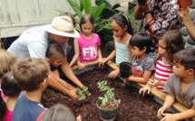 Des kits potagers dans les écoles pour apprendre à mieux manger