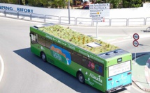 « Mueverte en verde »: les bus madrilènes bientôt équipés de toits végétalisés !
