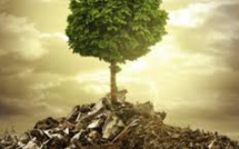 Je suis votre maison