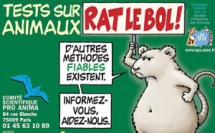 L'animal modèle de l'homme?