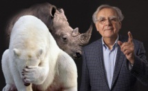 Bernard Pivot toujours le mot juste