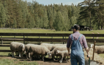 CETTE FERME ACCUEILLE DES ANIMAUX HANDICAPÉS ET ABANDONNÉS