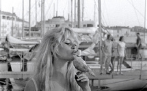 "Un formidable coup de projecteur à la cause animale", l'héritage de Brigitte Bardot